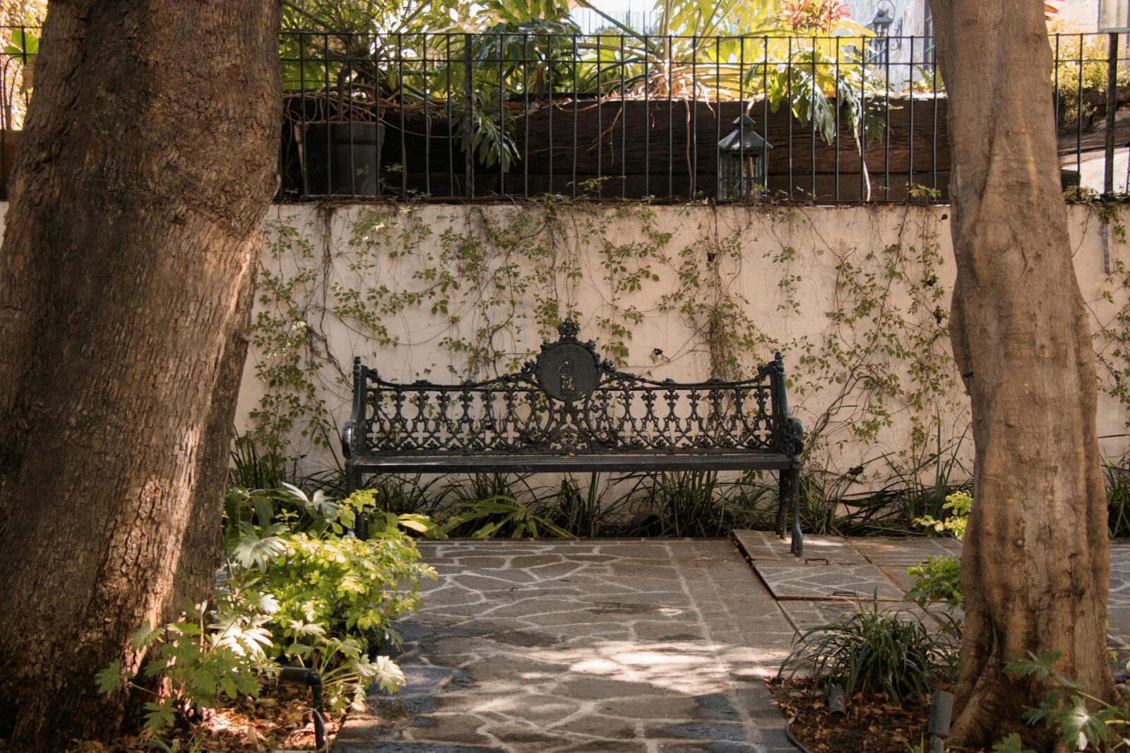 best hotels in mahabaleshwar - Photo by Rodrigo Ortega on Pexels