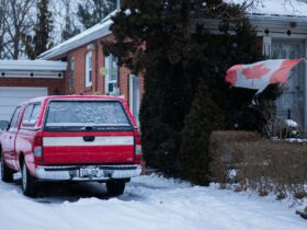 Canada begins new “30 days or free” guarantee for passport processing - Photo by Anurag Jamwal on Pexels