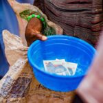 Regulator launches inquiry into Liverpool charity and freezes bank accounts - Photo by Abubakar Ogaji on Pexels