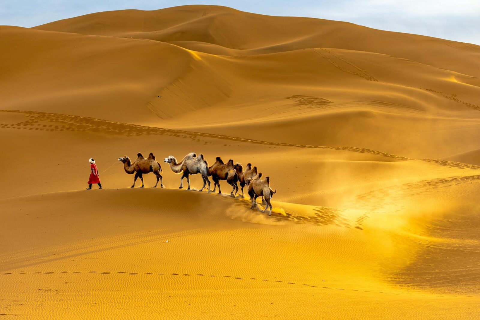 10 Hottest Countries in the World You Might Not Want to Visit - Photo by Yudi Ding on Pexels