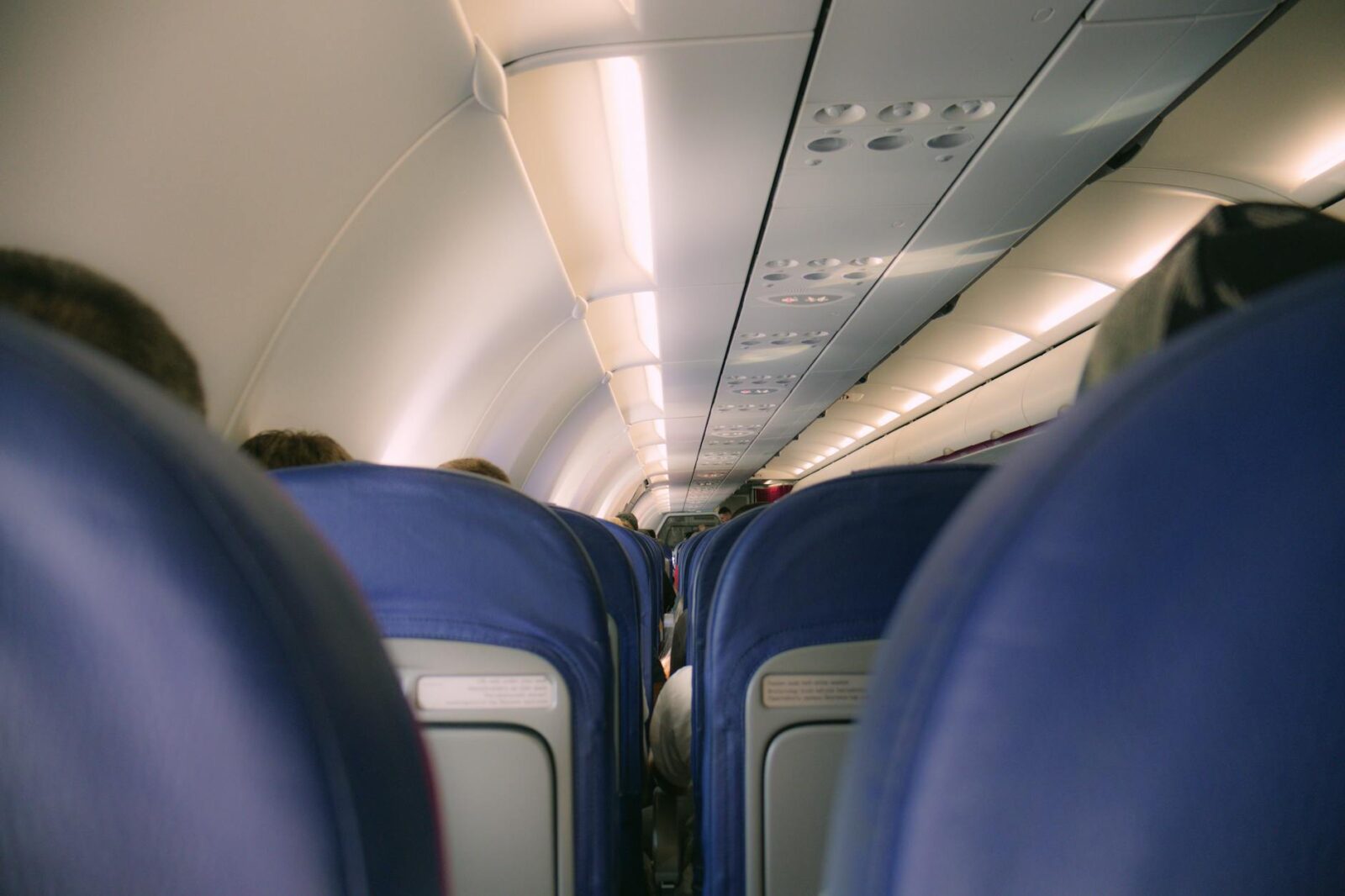 These Are the Pet-friendliest Airlines in the World, According to a New Study - Photo by Arlind D on Pexels