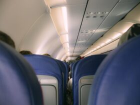 These Are the Pet-friendliest Airlines in the World, According to a New Study - Photo by Arlind D on Pexels