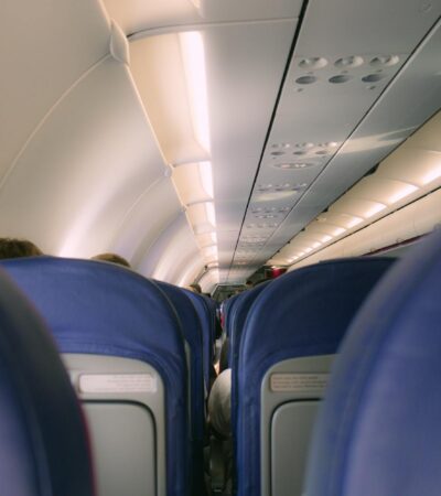 These Are the Pet-friendliest Airlines in the World, According to a New Study - Photo by Arlind D on Pexels