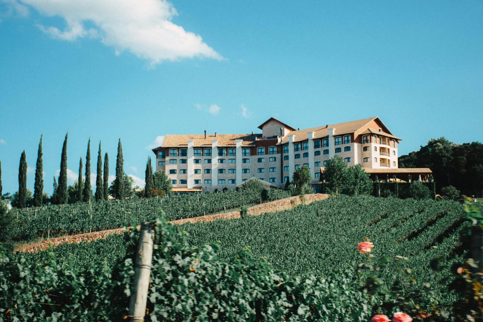 You can use Hilton Honors points to book this new wine resort in Napa - Photo by Lucas George Wendt on Pexels