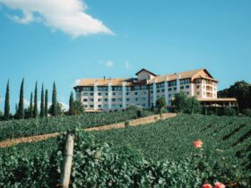 You can use Hilton Honors points to book this new wine resort in Napa - Photo by Lucas George Wendt on Pexels