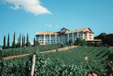 You can use Hilton Honors points to book this new wine resort in Napa - Photo by Lucas George Wendt on Pexels