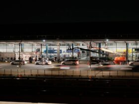 The Importance of Travel Specialists During Times of Disruption - Photo by Michael Solo on Pexels