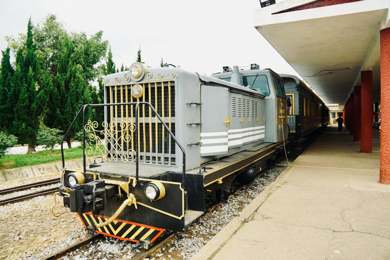 A 1960s Trip to Switzerland Changed My Mother's Life—So We Went Back, Together - Photo by Tuan Vy on Pexels