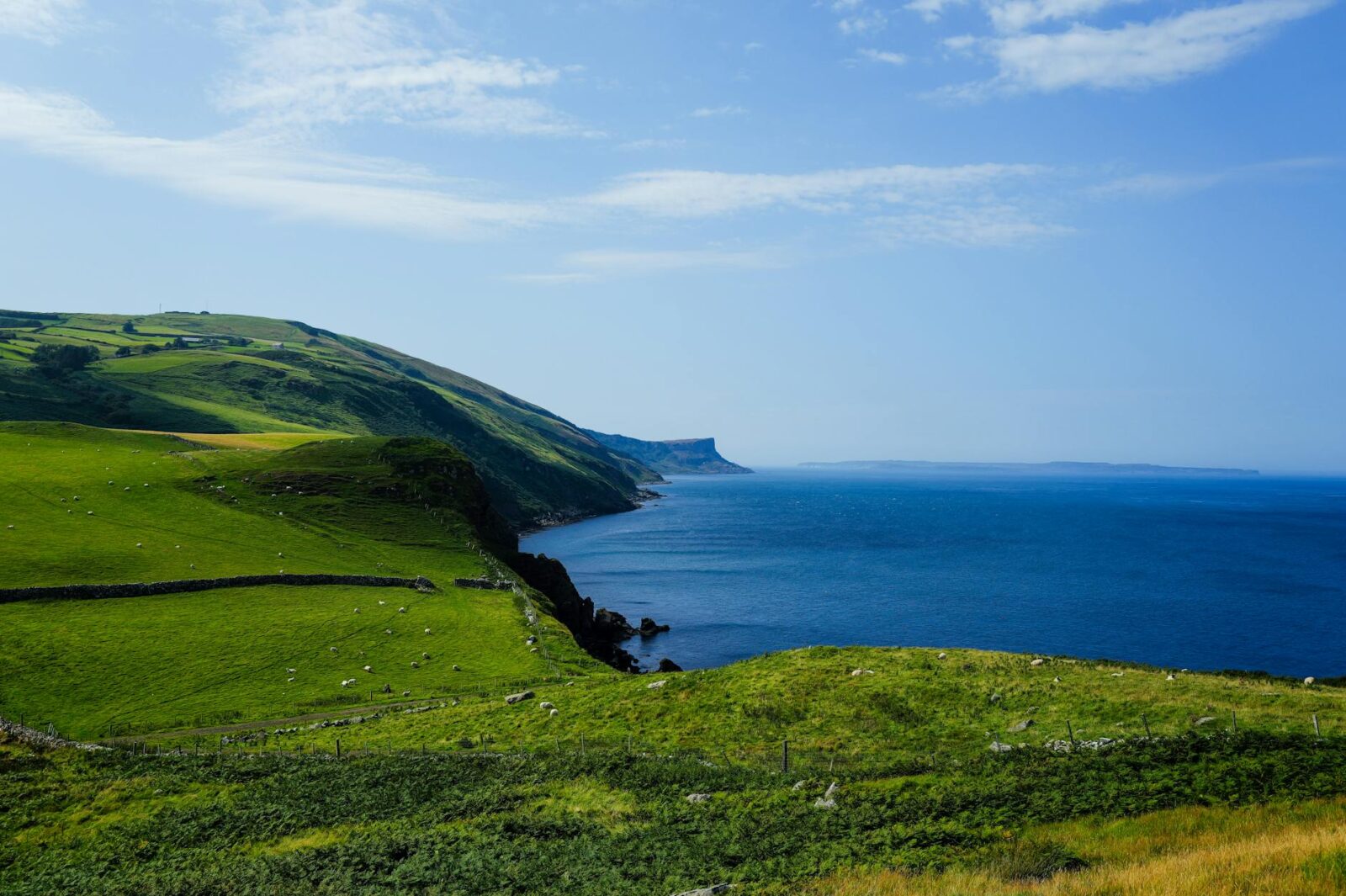 My Favorite Vacation Rental: A Glass Villa With Spectacular Views of Ireland's Coast - Photo by Adrien Olichon on Pexels
