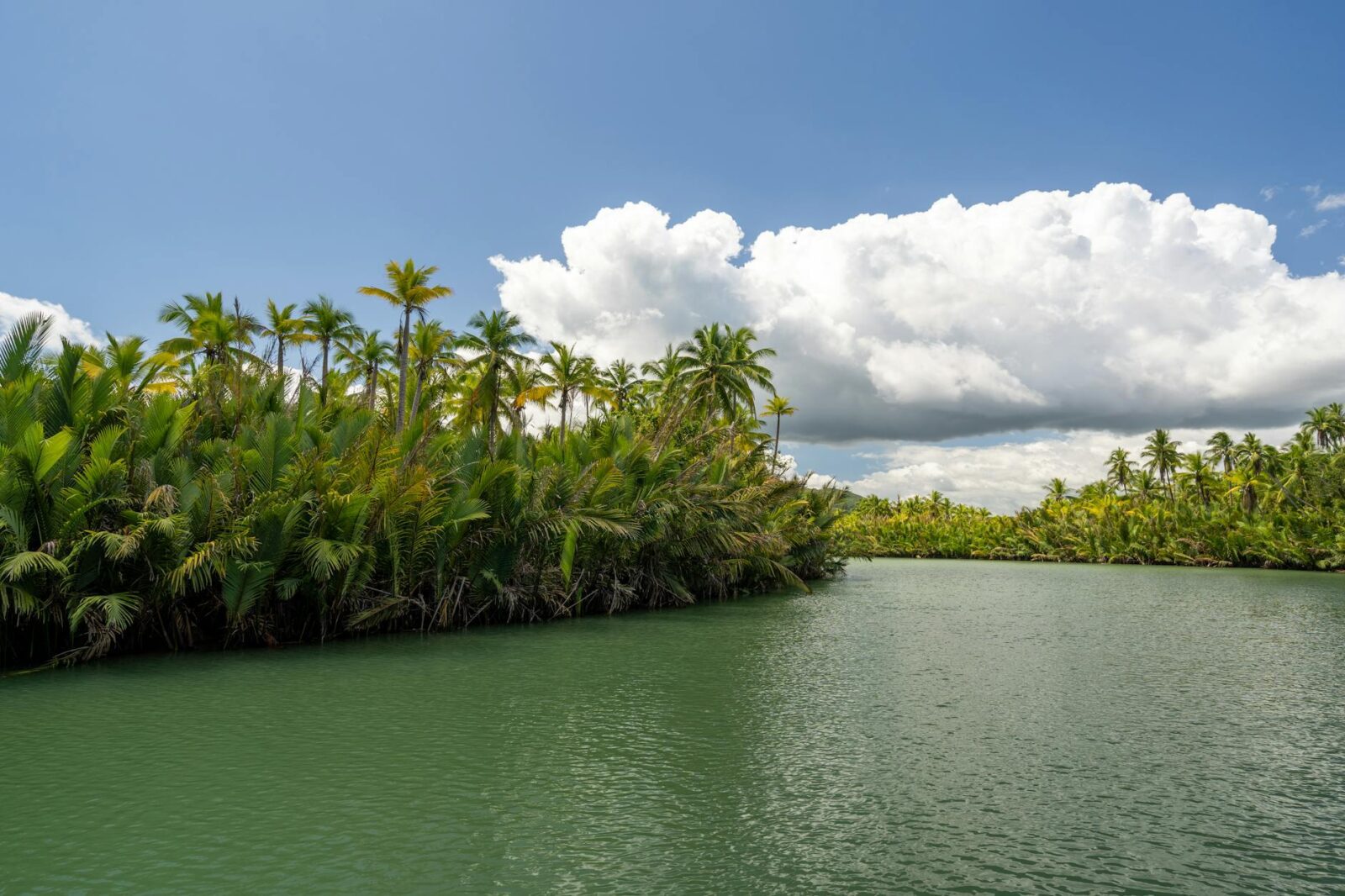 Level 2 - Chikungunya in Mayotte - Photo by Cyrill on Pexels