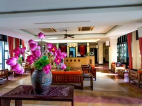 best western hotels - Photo by Quang Nguyen Vinh on Pexels