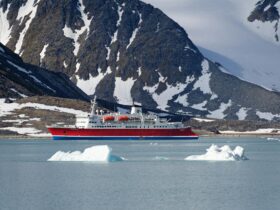 Alaska Cruise vs Caribbean Cruise Which Should You Choose - Photo by Gu Bra on Pexels