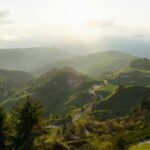 Canada extends certain work permit measures for Ukrainians - Photo by Cesare Brunello on Pexels