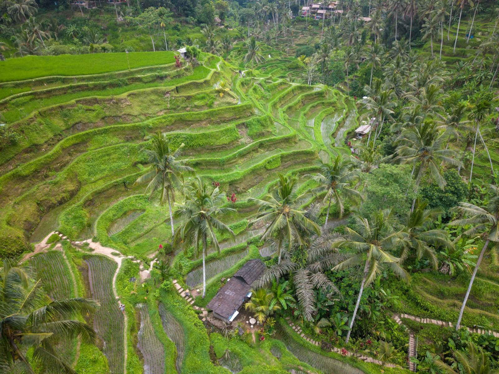 best travel insurance for bali - Photo by Tom Fisk on Pexels