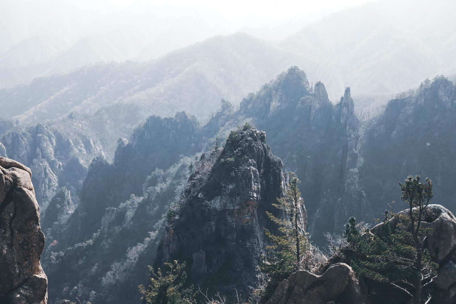 A Sequoia National Park Guide on Where to Stay, What to Do, and How to Get There - Photo by 정규송 Nui MALAMA on Pexels