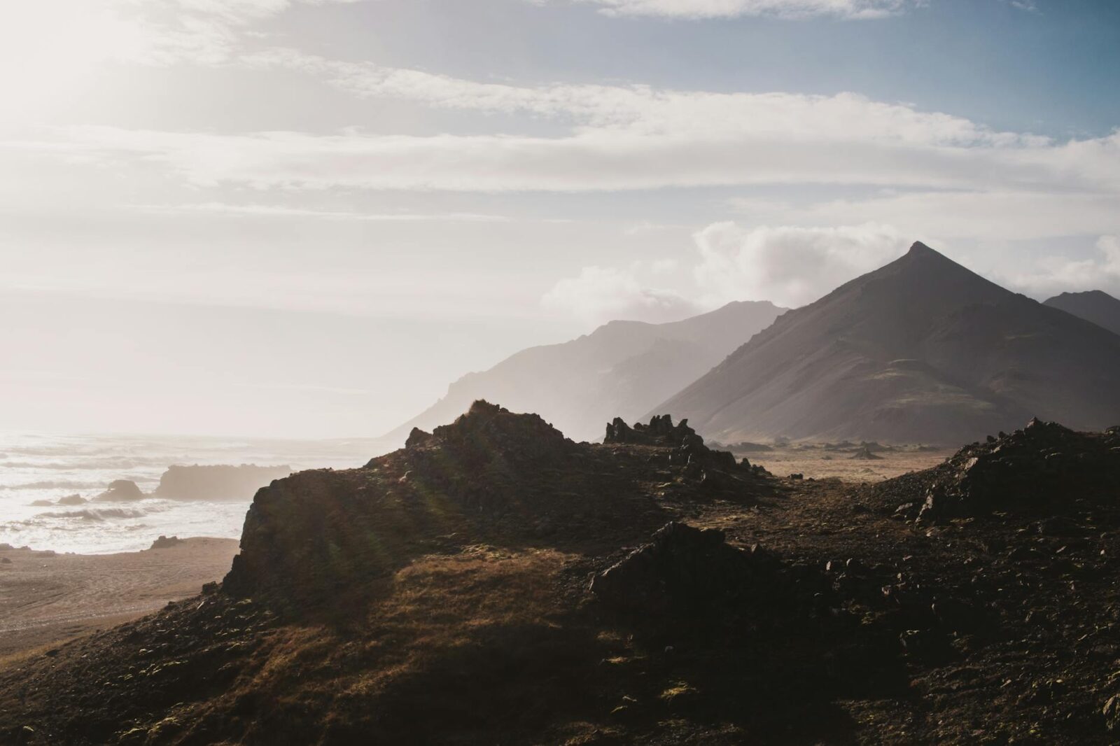 tick travel insurance - Photo by David Hitchcock on Pexels