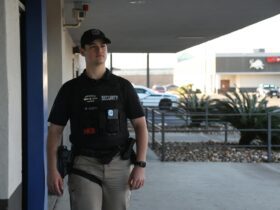 Asylum and immigration – briefing note - Photo by Manuel Moore on Pexels