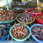 Strangest Foods You Can Only Find in Southeast Asia — Updated Guide - Photo by Quang Nguyen Vinh on Pexels