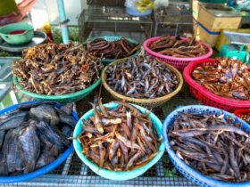 Strangest Foods You Can Only Find in Southeast Asia — Updated Guide - Photo by Quang Nguyen Vinh on Pexels