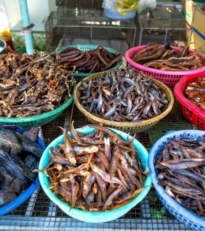 Strangest Foods You Can Only Find in Southeast Asia — Updated Guide - Photo by Quang Nguyen Vinh on Pexels