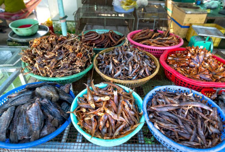 Strangest Foods You Can Only Find in Southeast Asia — Updated Guide - Photo by Quang Nguyen Vinh on Pexels