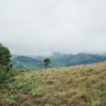 Top Hill Stations in India That Tourists Haven't Discovered Yet - Photo by Ravi Kant on Pexels