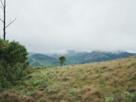 Top Hill Stations in India That Tourists Haven't Discovered Yet - Photo by Ravi Kant on Pexels