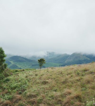 Top Hill Stations in India That Tourists Haven't Discovered Yet - Photo by Ravi Kant on Pexels