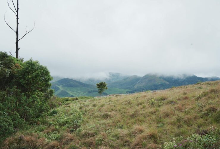 Top Hill Stations in India That Tourists Haven't Discovered Yet - Photo by Ravi Kant on Pexels