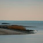 10 Islands That Are Sinking and Might Disappear in Your Lifetime — Updated Guide - Photo by David Kanigan on Pexels