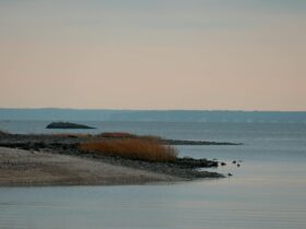 10 Islands That Are Sinking and Might Disappear in Your Lifetime — Updated Guide - Photo by David Kanigan on Pexels