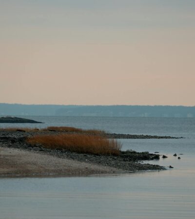 10 Islands That Are Sinking and Might Disappear in Your Lifetime — Updated Guide - Photo by David Kanigan on Pexels