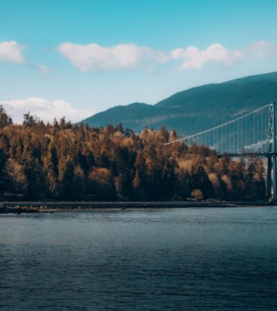 pltr stock - Photo by Raghav Khera on Pexels