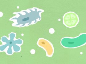 Space Worms! UK scientists launch microscopic crew into orbit to support future Moon missions - Photo by Monstera Production on Pexels