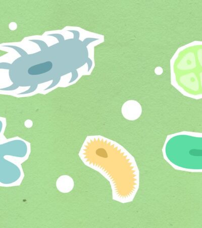 Space Worms! UK scientists launch microscopic crew into orbit to support future Moon missions - Photo by Monstera Production on Pexels