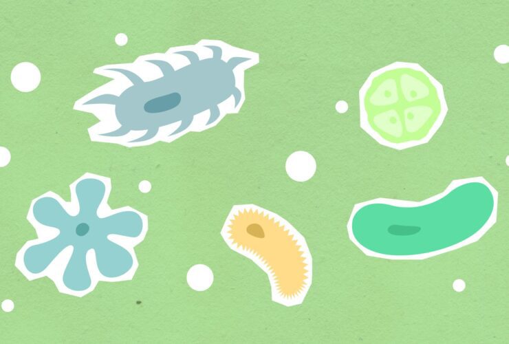 Space Worms! UK scientists launch microscopic crew into orbit to support future Moon missions - Photo by Monstera Production on Pexels