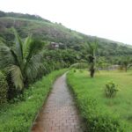 Best Time to Visit Thailand Region by Region Guide - Photo by aksinfo7 universe on Pexels