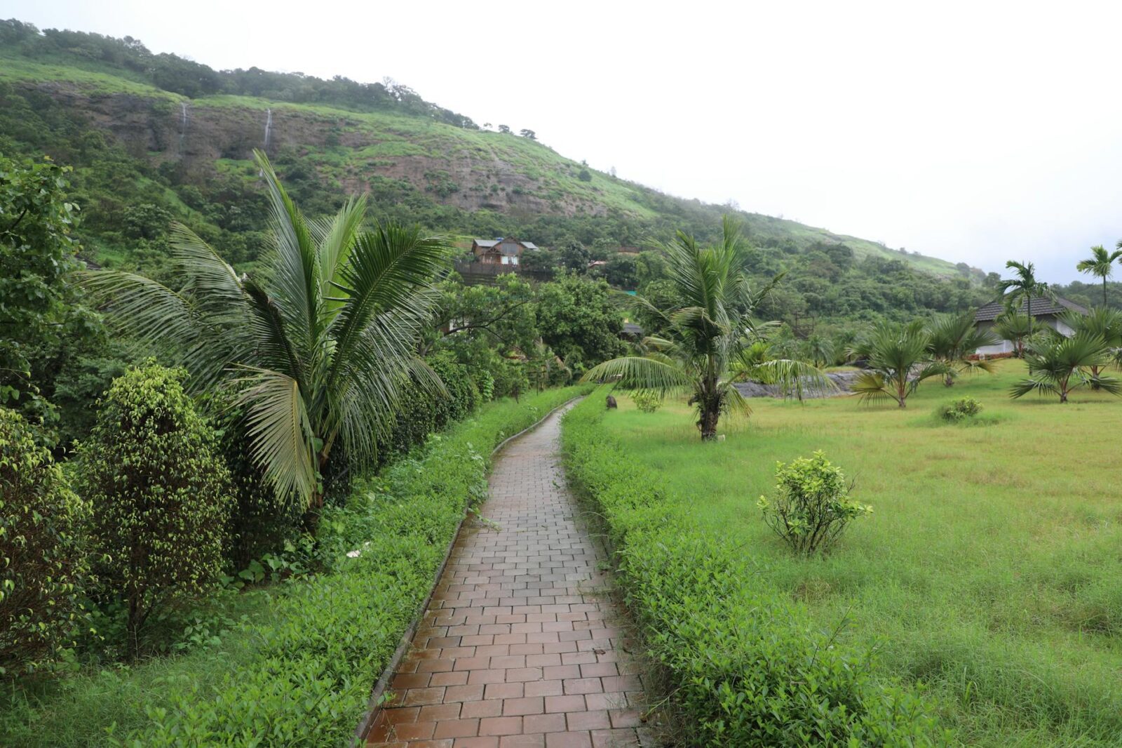 Best Time to Visit Thailand Region by Region Guide - Photo by aksinfo7 universe on Pexels