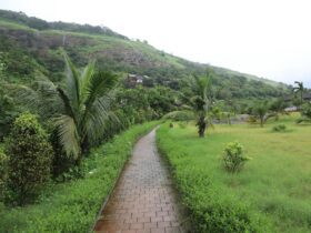 Best Time to Visit Thailand Region by Region Guide - Photo by aksinfo7 universe on Pexels