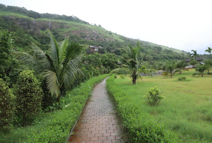 Best Time to Visit Thailand Region by Region Guide - Photo by aksinfo7 universe on Pexels