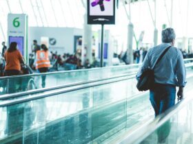 Trump Proposes TSA Privatization Following Long Airport Lines - Photo by Rafael Rodrigues on Pexels