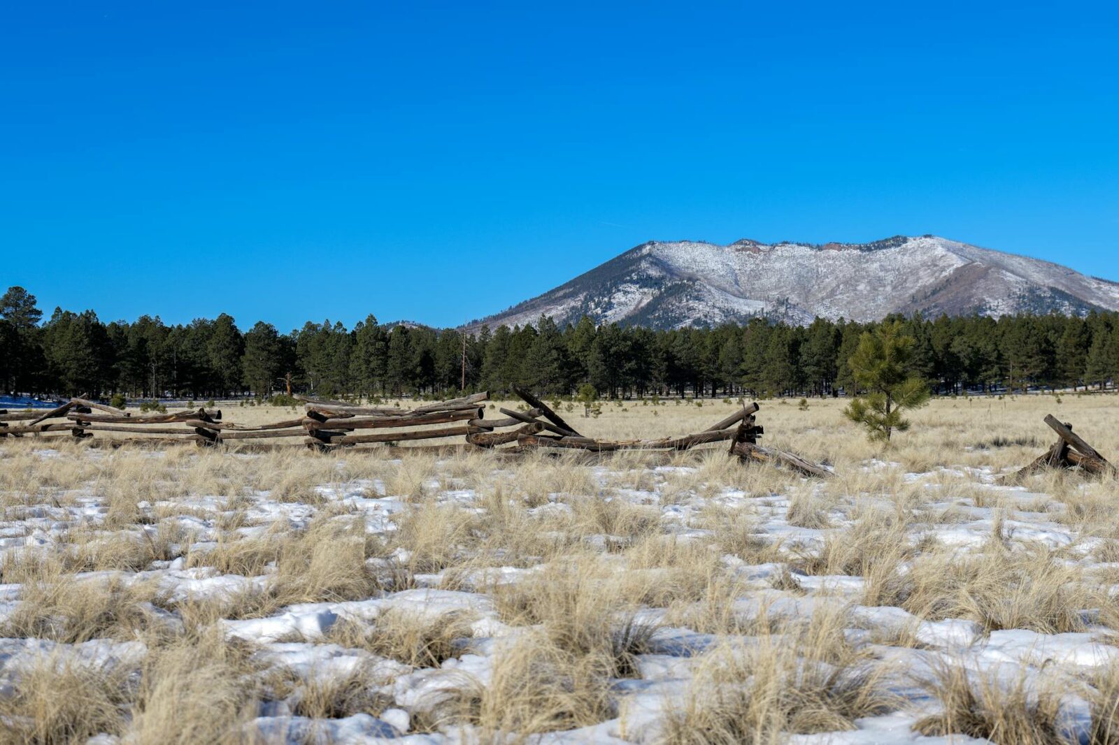 New immigration and asylum measures from Bill C-12 (the Strengthening Canada’s Immigration System and Borders Act) have become law - Photo by Mark Direen on Pexels