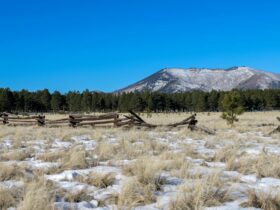 New immigration and asylum measures from Bill C-12 (the Strengthening Canada’s Immigration System and Borders Act) have become law - Photo by Mark Direen on Pexels