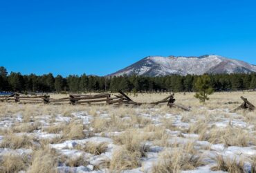 New immigration and asylum measures from Bill C-12 (the Strengthening Canada’s Immigration System and Borders Act) have become law - Photo by Mark Direen on Pexels