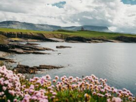 The Most Beautiful Places in Ireland - Photo by Andras Stefuca on Pexels