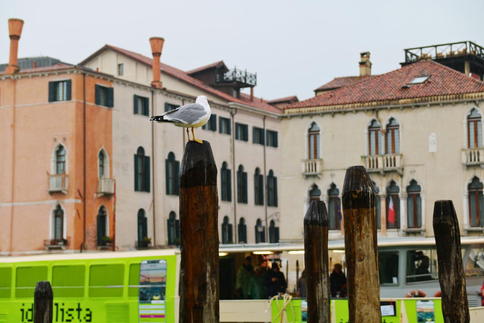 Bizarre Laws That Could Get You in Trouble While Traveling - Photo by Bruna Santos on Pexels