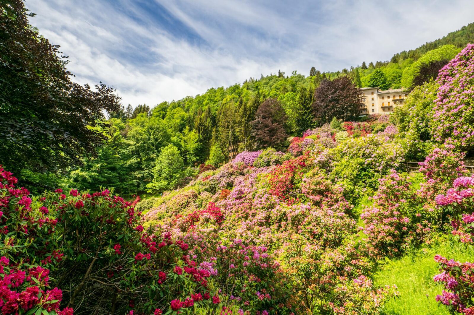 Best Time to Visit Nepal Month by Month Weather Guide — Updated Guide - Photo by Rino Adamo on Pexels