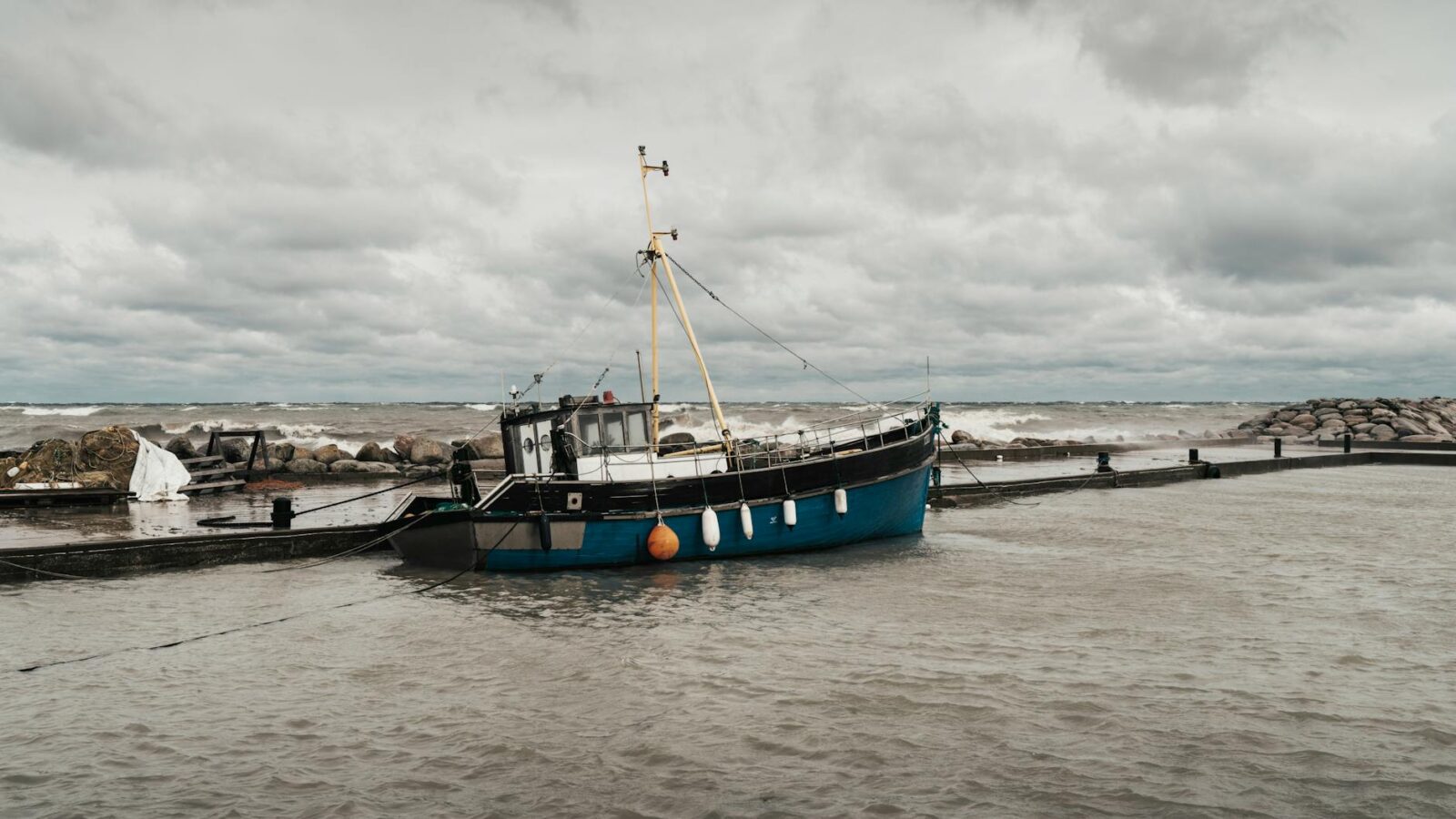 Freedom II report and safety flyer published - Photo by Raul Kozenevski on Pexels