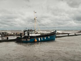 Freedom II report and safety flyer published - Photo by Raul Kozenevski on Pexels