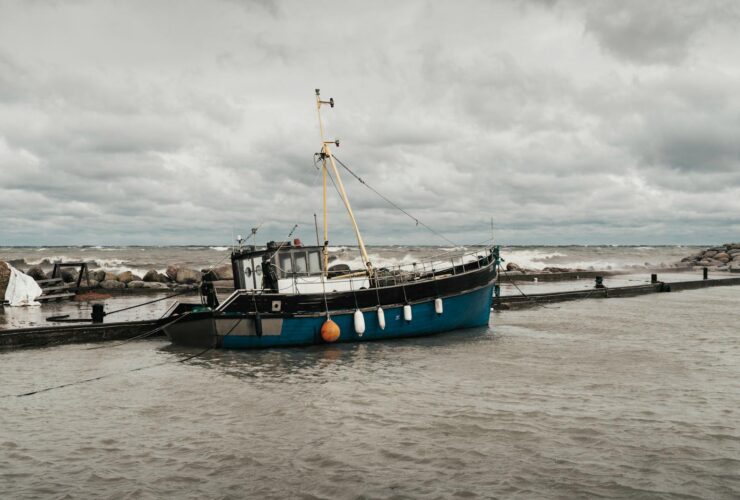 Freedom II report and safety flyer published - Photo by Raul Kozenevski on Pexels